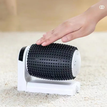 Automatic Cat Self Groomer .