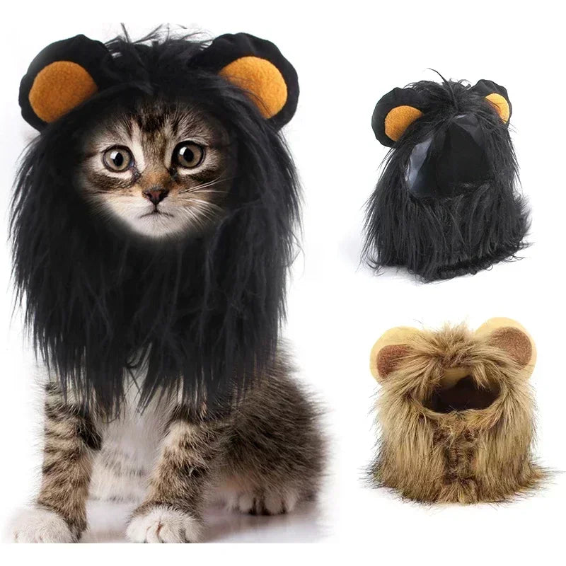 Cat Lion Wig .