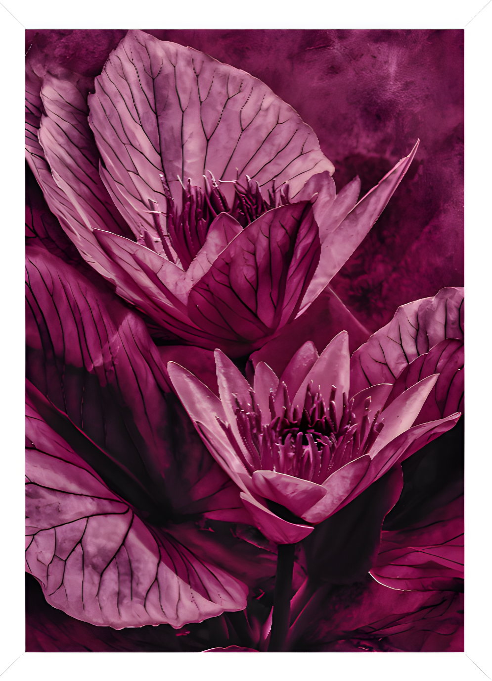 Quadro Alta Resolução - Flor Roxo Intenso(30x40) Com Moldura