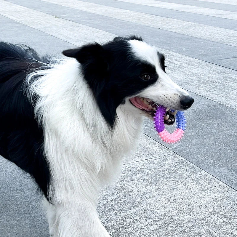 Pet Rubber Thorn Ring .