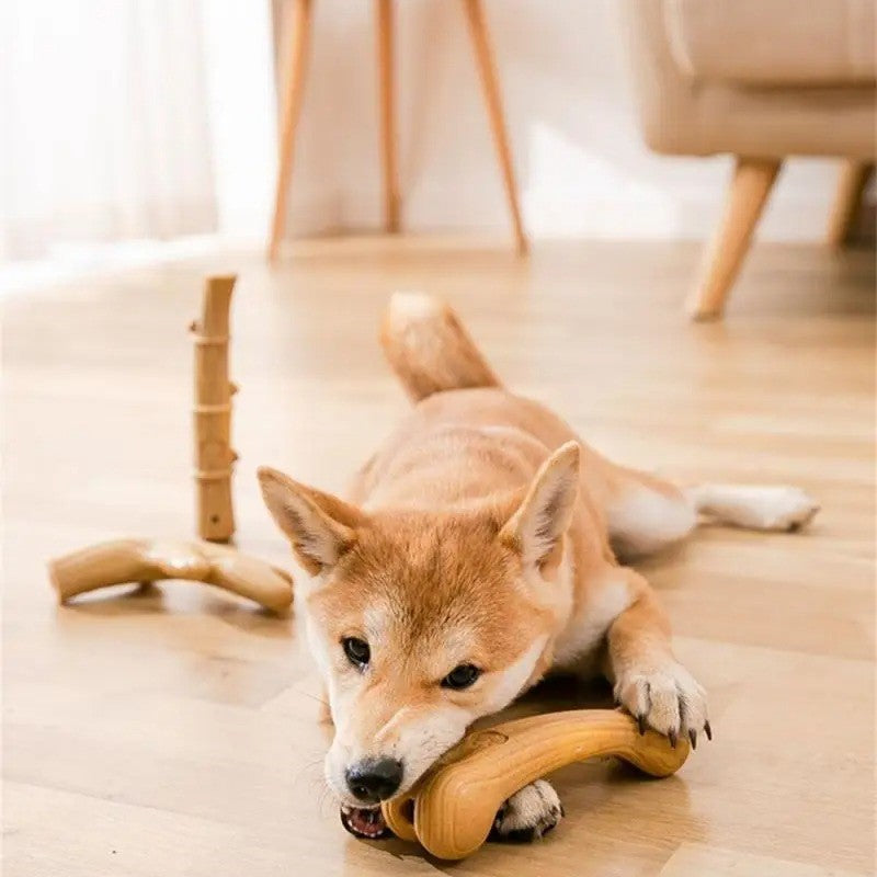 Wood Fiber Teething Stick .