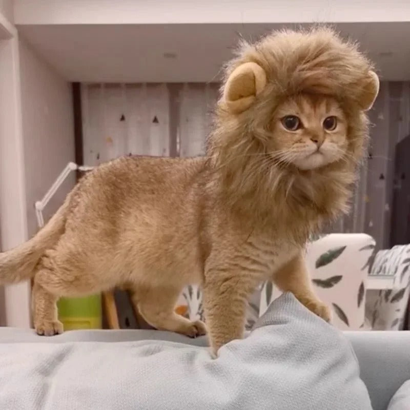 Cat Lion Wig .