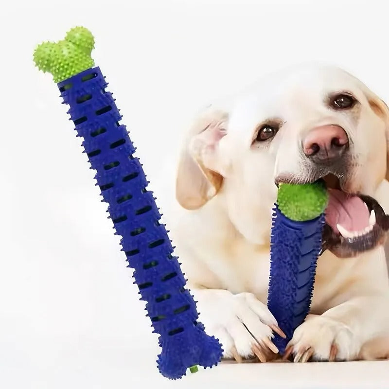 Bastão Molar de Cão em Forma de Osso