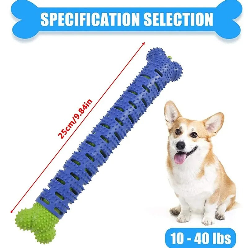 Bastão Molar de Cão em Forma de Osso