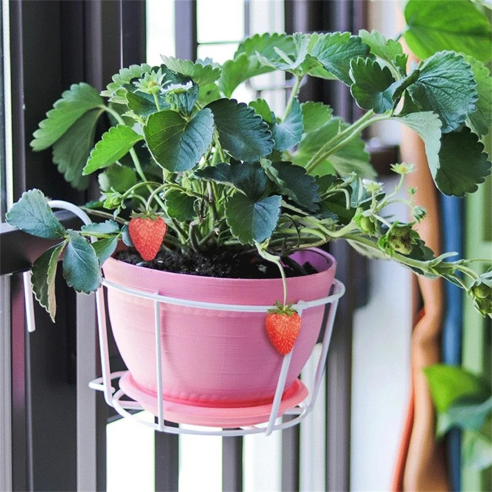 Hanging Flower Basket .