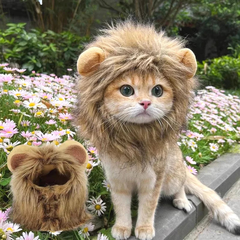 Cat Lion Wig .