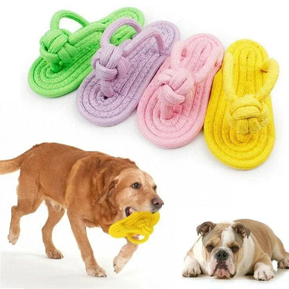 Chinelo de brinquedo para mastigar cachorro