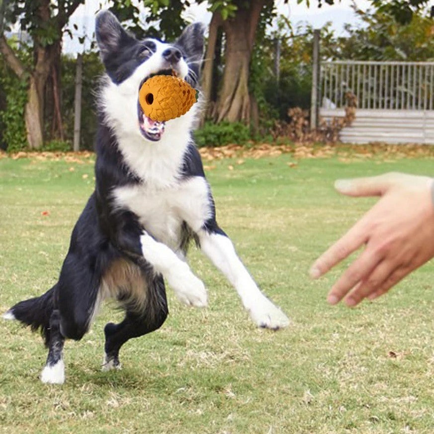 Brinquedo para mastigar abacaxi para cachorro