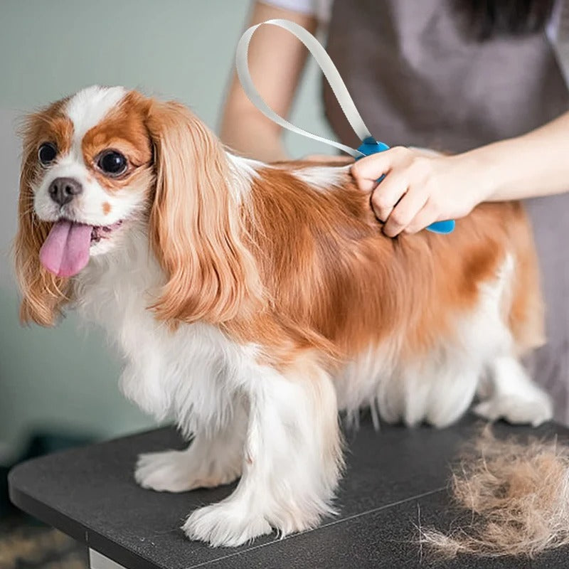 Pet Shedding Blade .