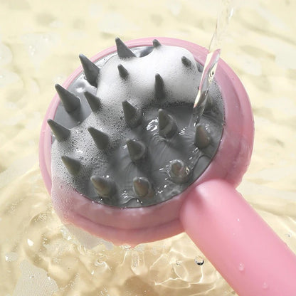 Scalp Brush Hair Massager .