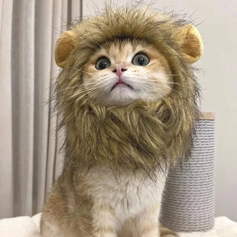 Cat Lion Wig .