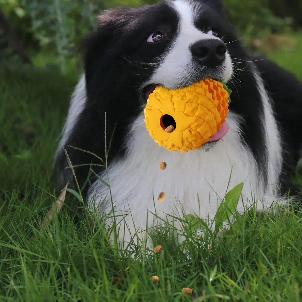 Brinquedo para mastigar abacaxi para cachorro