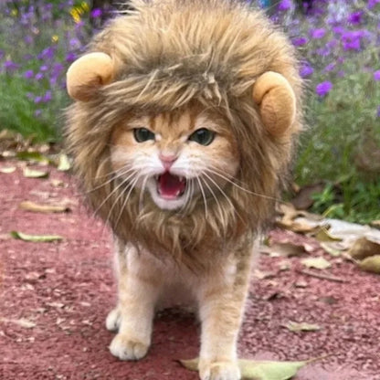 Cat Lion Wig .